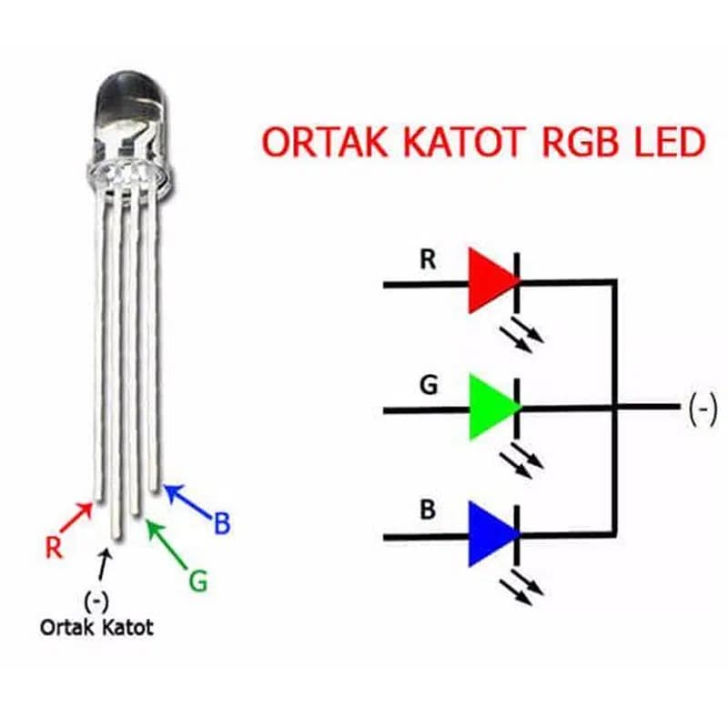 Powermaster 1592-5Mm RGB Led 4 Pin Ortak Katot - küçük görsel 2