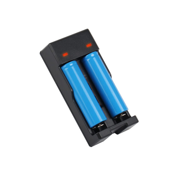 Powermaster PMR-988 Pil Şarj Cihazı