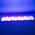 Powermaster 12 Volt 3.6 Watt RGB Flaşlı Yanıp Sönen 2835 Modül Led Özellikleri