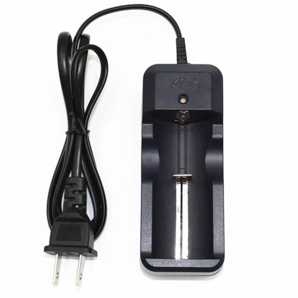 Powermaster PMR-105LIX 4.2 Volt 450 ma Pil Şarj Cihazı